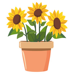 Obraz premium House plants sunflowers pot illustration art vector