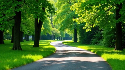Fototapeta premium Serene Pathway Winding Through a Lush, Verdant Canopy of Trees on a Sunny Day