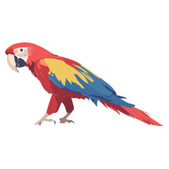 Obraz premium Macaw bird illustration parrot vector vector