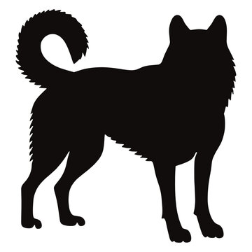 Art dog illustration drawing vector