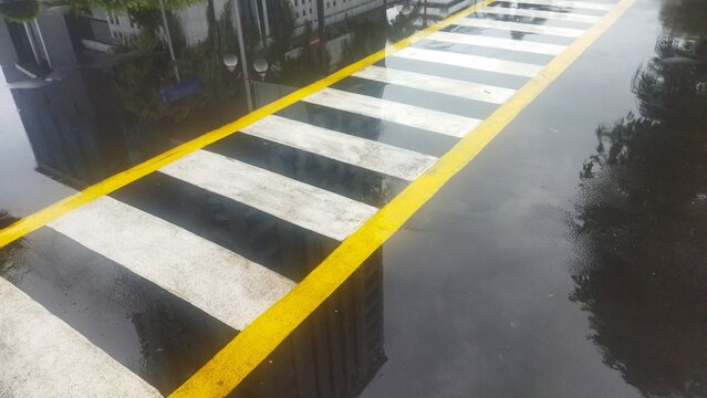 wet crossing in the street after the raint reflecting tall building 