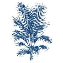 Hand drawn palm tree vintage plant blue vector