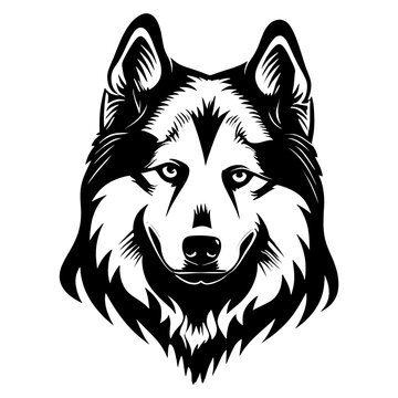 recommend clip art: Collection portrait Alaskan Malamute dog animal wolf art vector