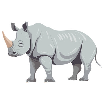 recommend clip art: Rhinoceros rhino illustration wildlife vector