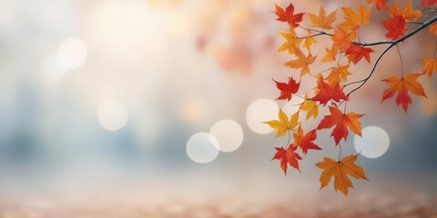 Vibrant Autumn Maple Leaves in Red and Gold Hanging Gracefully with a Soft Bokeh and Dreamy Background