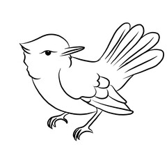 line art cartoon bird isolated on white background. Aves animals