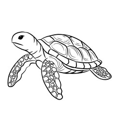 line art cartoon turtle isolated on white background. reptile animals