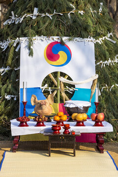 과일,돼지,머리,제기,제사상,테이블,방패연,달집,마당,정월대보름,한국민속촌,용인시,경기도