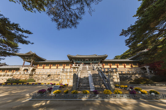 국화,화분,마당,계단,범영루,청운교,백운교,불국사,경주시,경북