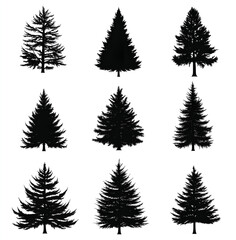Obraz premium pine tree silhouette set, black on white background. Pine trees collection 