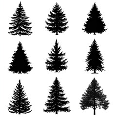 Obraz premium pine tree silhouette set, black on white background. Pine trees collection 