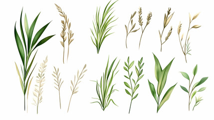 Fototapeta premium Watercolor Green and Beige Botanical Collection; Plants, Leaves, and Grasses; White Background; Wedding Invitation Design