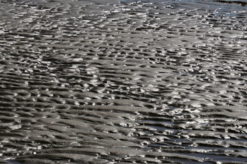 光の陰影で映し出す砂浜の波紋