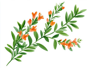 vibrant watercolor illustration of wildflower branch featuring orange blooms and lush green leaves, perfect for floral designs and nature themed projects