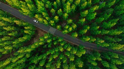 Aerial view of dark green forest road and white electric car Natural landscape and elevated roads...