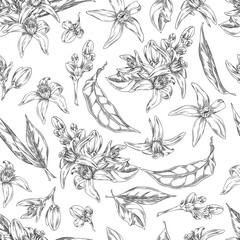 Illustration of a seamless background of black and white sketches of neroli flowers and leaves.