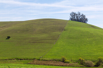 Scenic and beautiful California green meadows 