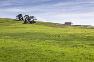 Obraz premium Scenic and beautiful California green meadows