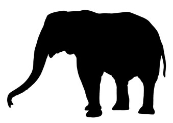 ゾウのシルエット