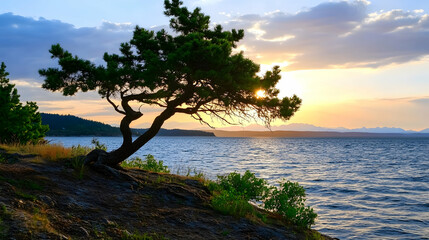 Obraz premium Sunset over coastal waters, lone tree silhouette on cliff, mountains in background; ideal for travel or nature publications