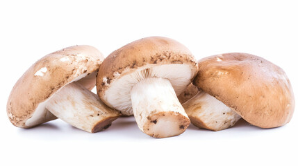 Fototapeta premium Three brown mushrooms on white background, ideal for food blogs or recipe websites