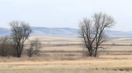 Winter landscape, bare trees, distant hills, farm fence, tranquil scene, nature photography