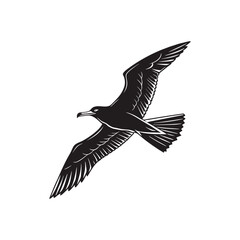 black bird silhouette vector illustration art