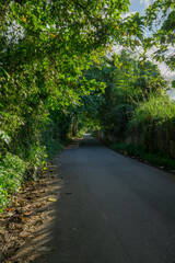 Naklejka premium Rural road.