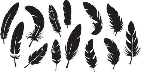 Feathers silhouettes