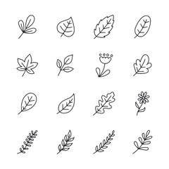 A set of 12 different leaf shapes