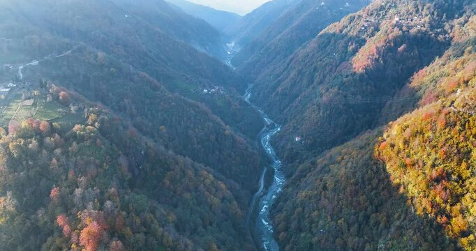 River valleys and forests