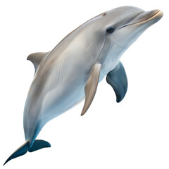 Bottlenose Dolphin AI Generated Image