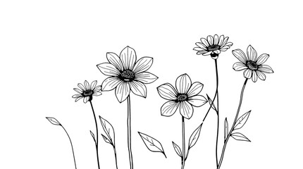 Elegant Black and White Floral Line Art, flower PNG