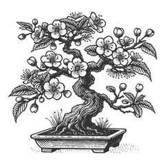 Fototapeta premium blossoming bonsai sakura cherry tree with delicate flowers and leaves, balance, nature, and artistic growth sketch engraving generative ai vector illustration. Scratch board. Black and white image.