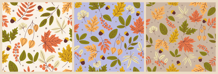 Set of Natural seamless patterns with autumn fallen leaves of forest trees. Colored botanical seasonal vector illustration in flat style for wrapping paper, wallpaper, fabric print