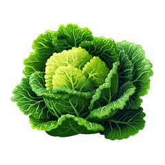 Green cabbage pixel art illustration isolated on transparent background