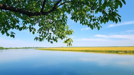Summer River Landscape
