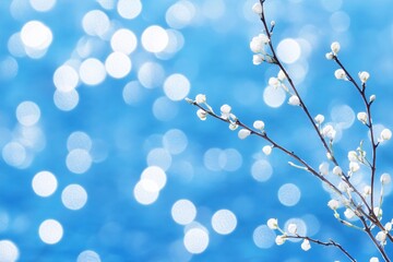 Delicate White Blossoms on a Branch Over Soft Blue Background with Glimmering Lights
