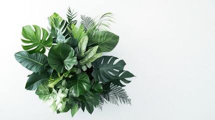 Obraz premium A collection of lush tropical green leaves in a bouquet, isolated on a white background, offering a clean frame for text, logos, or creative design elements.