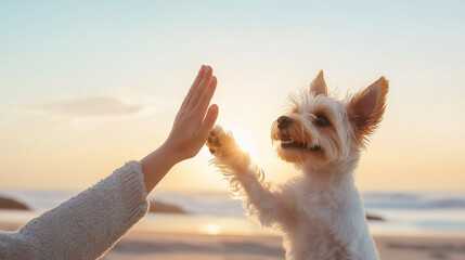 Pawsitive Vibes: A heartwarming scene of a playful dog giving a high-five to its loving owner, captured against a breathtaking beach sunset.  This image speaks of unwavering loyalty, shared joy.