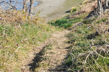 川岸の小道