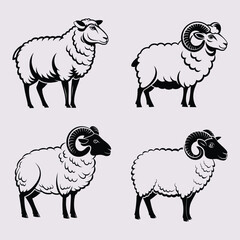 Stylized Sheep and Ram Vector Illustration Set