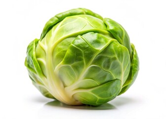Fototapeta premium fresh green cabbage isolated on a white background