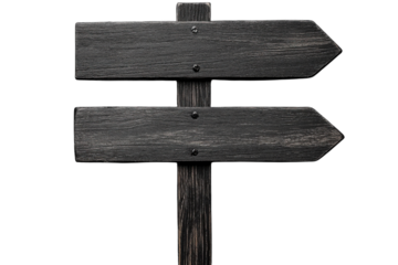 Directional wooden signpost indicating paths with blank arrows in a minimalist design suitable for various locations