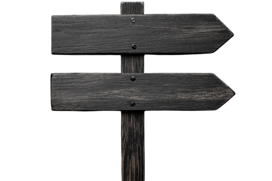 Directional wooden signpost indicating paths with blank arrows in a minimalist design suitable for various locations