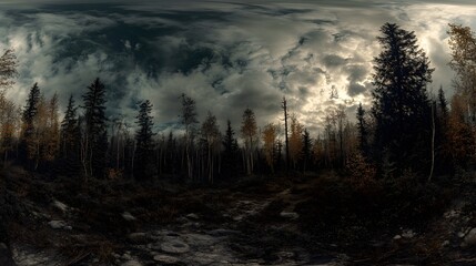Mysterious Forest Under an Overcast Sky with Glistening Leaves and Towering Trees Evoking a Sense of Tranquility and Natural Beauty in Nature