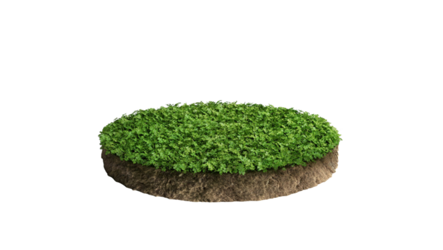 Round green grass land piece isolated on white background