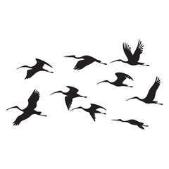 Collection of Birds Illustrations Silhouettes Set Icons vector