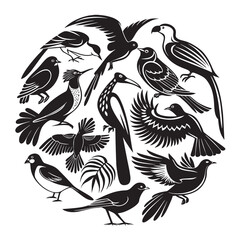 Collection of Birds Illustrations Silhouettes Set Icons vector