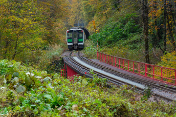 Fototapeta premium 只見線と鉄橋